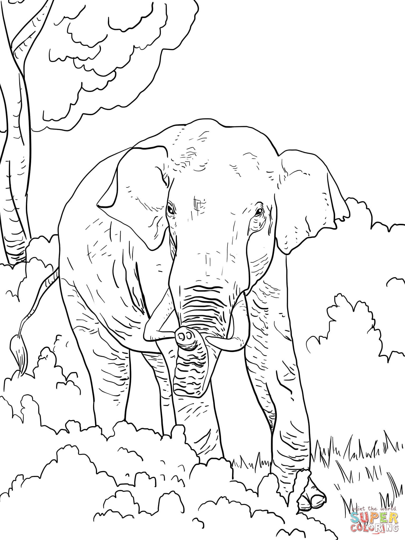 Baby Elephant Coloring Pages Free Printable 134