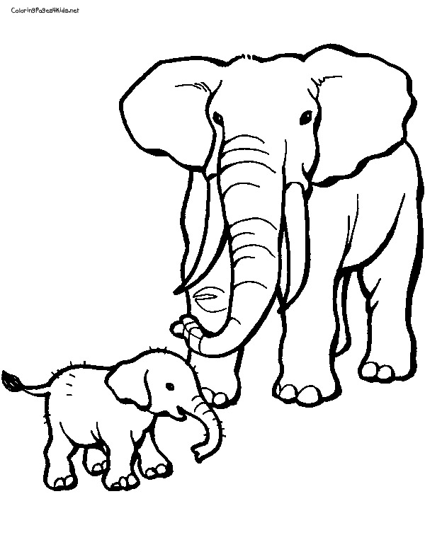 Baby Elephant Coloring Pages Free Printable 147