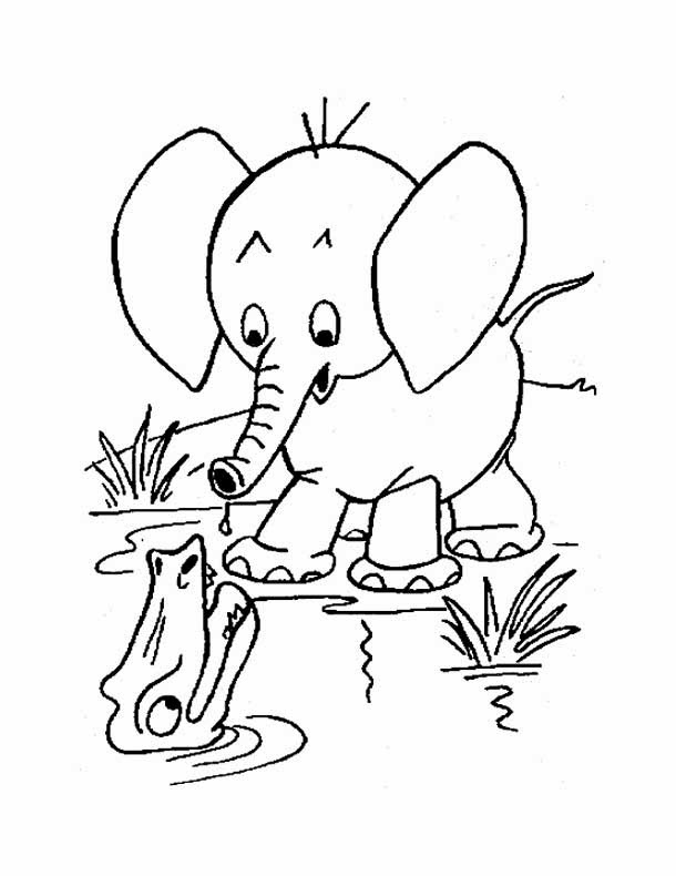 Baby Elephant Coloring Pages Free Printable 149