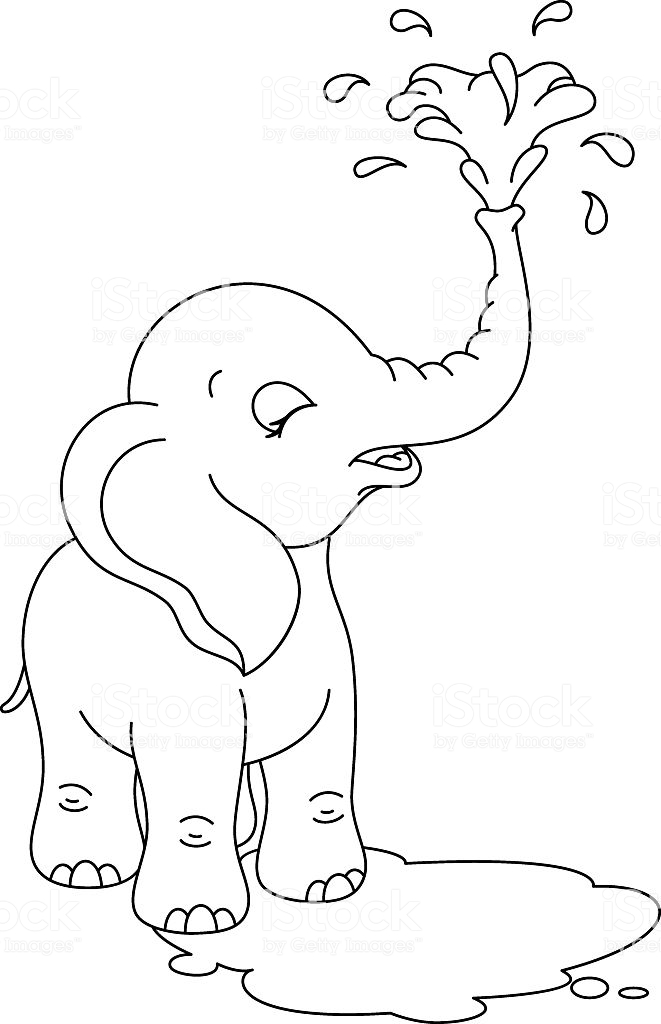 Baby Elephant Coloring Pages Free Printable 42