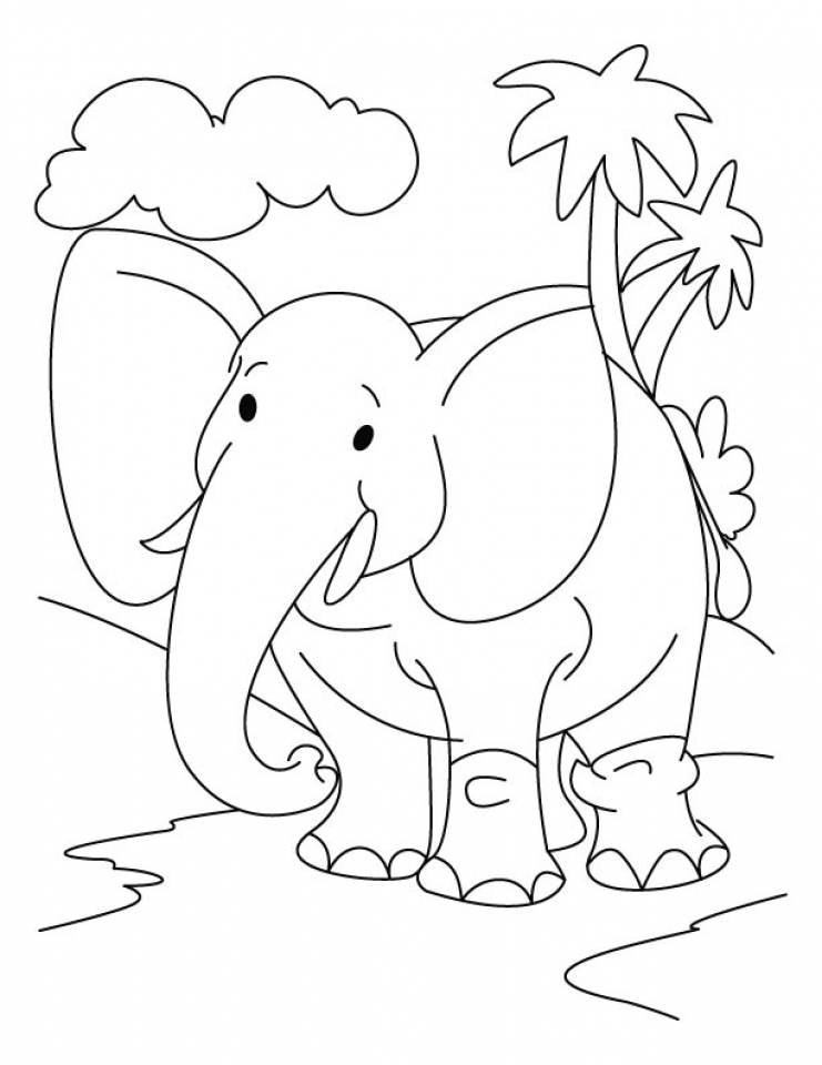 Baby Elephant Coloring Pages Free Printable 77