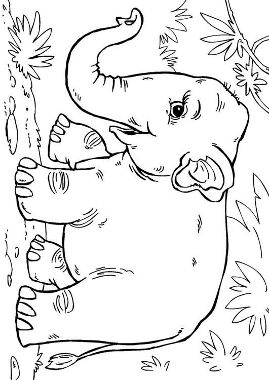 Baby Elephant Coloring Pages Free Printable 86