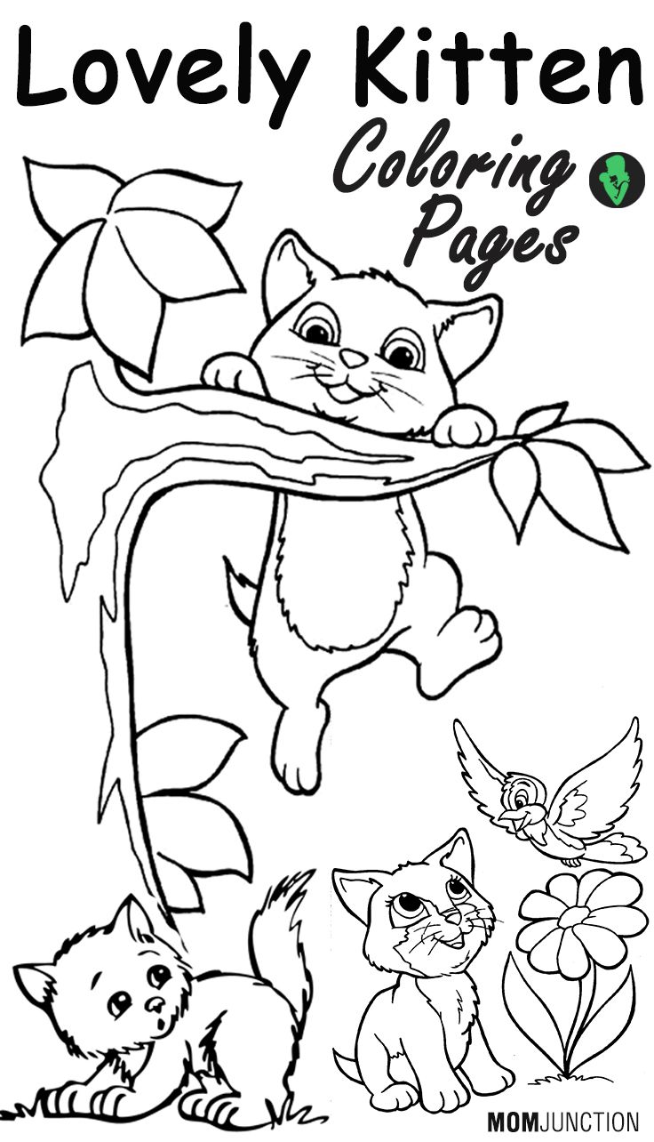 cute kittens colouring pages