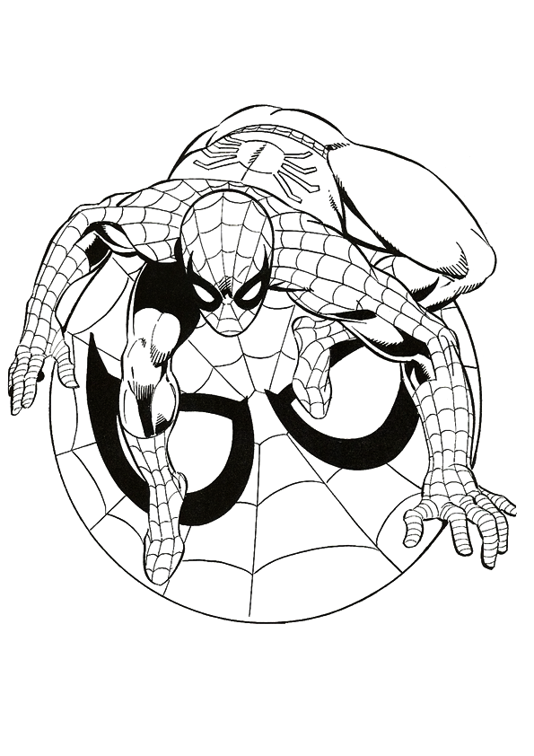 New Amazing Spiderman Coloring Pages for Kids 104