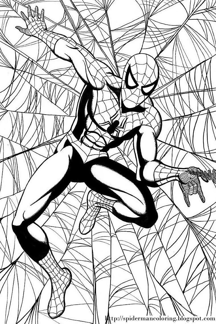 New Amazing Spiderman Coloring Pages for Kids 125