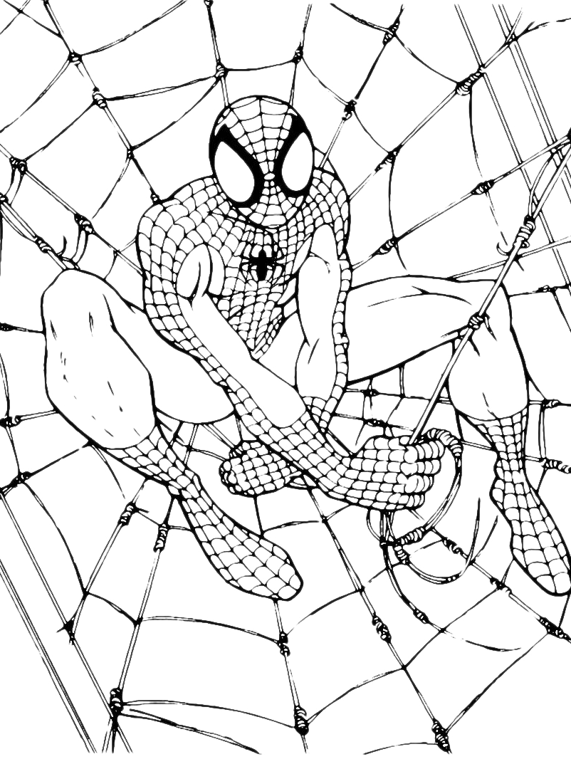 New Amazing Spiderman Coloring Pages for Kids 51