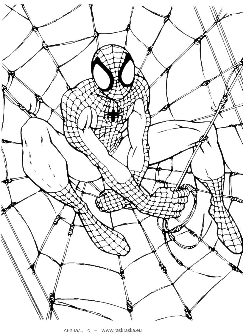 New Amazing Spiderman Coloring Pages for Kids 93