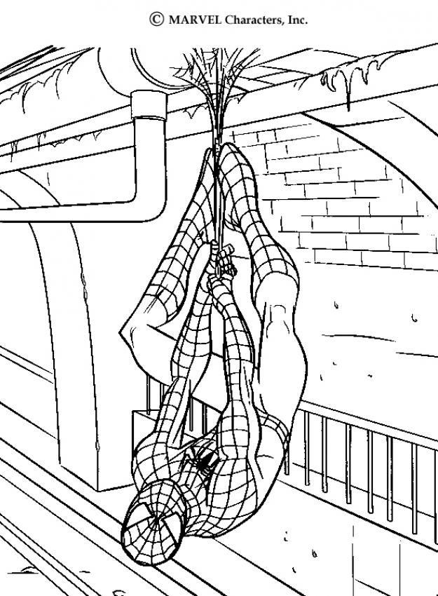 Ultimate Spiderman Coloring Pages Free Printable 86