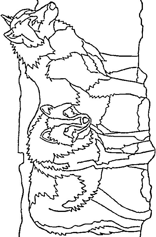 Wolf Coloring Pages FREE Printable 107