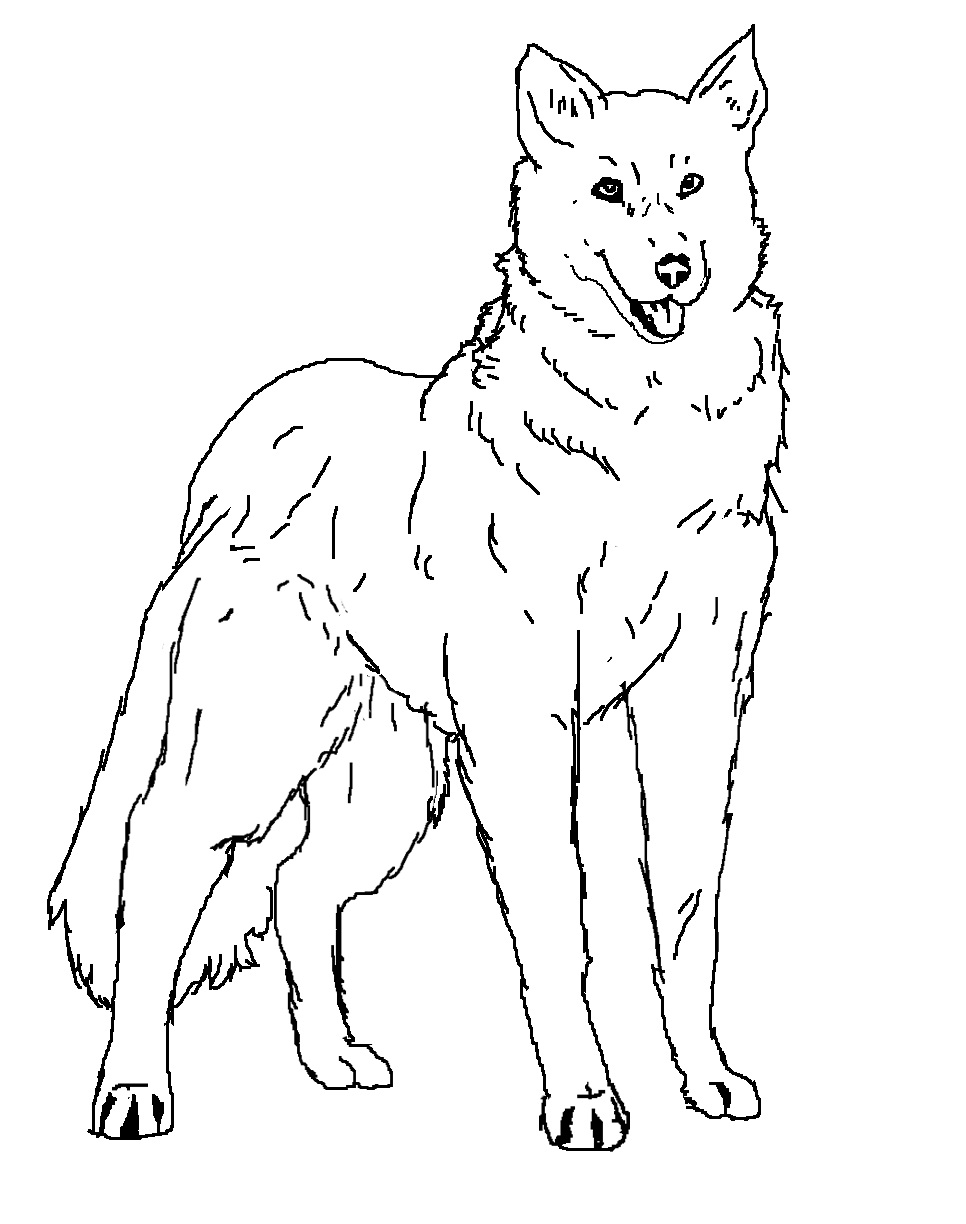 Wolf Coloring Pages FREE Printable 114