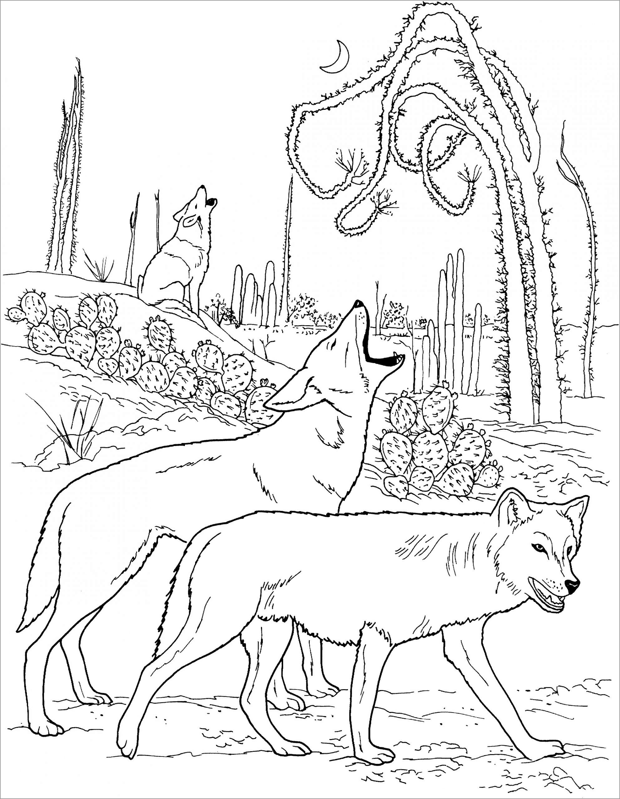 Wolf Coloring Pages FREE Printable 17