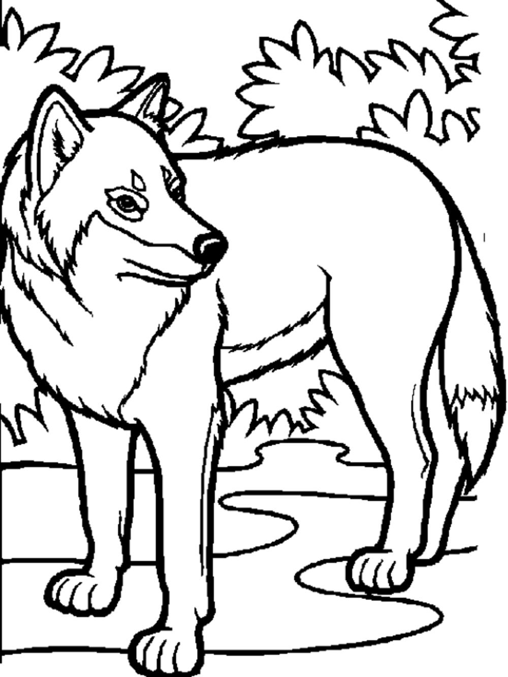 Wolf Coloring Pages FREE Printable 35