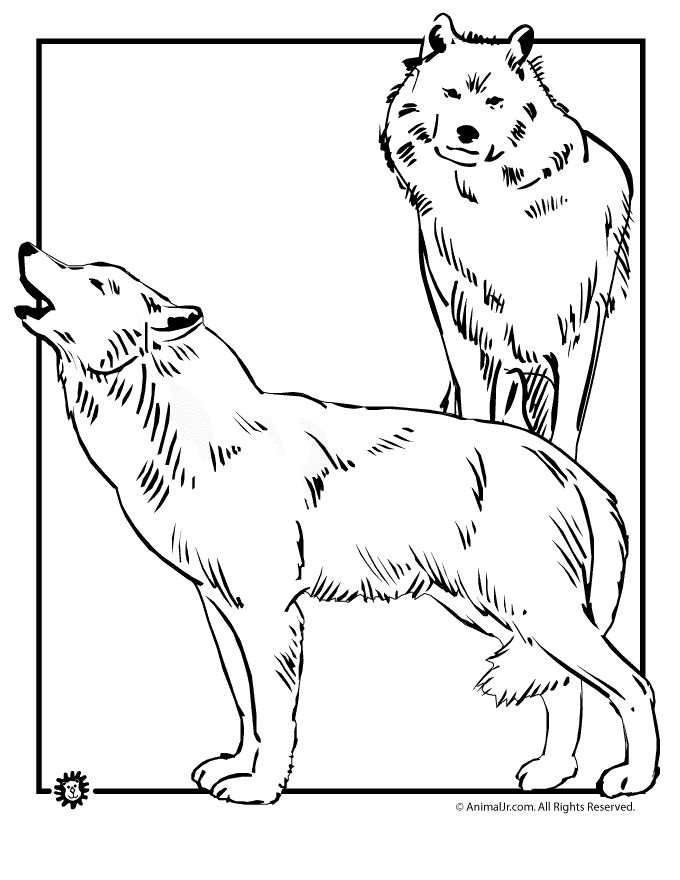 Wolf Coloring Pages FREE Printable 48