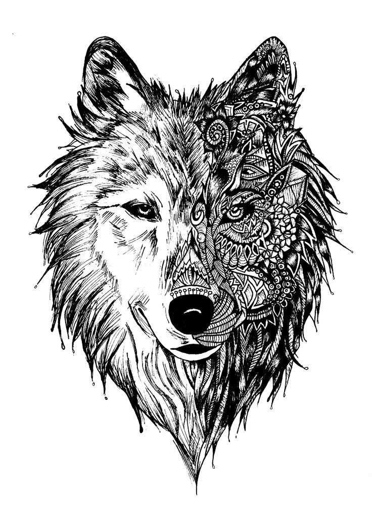 Wolf Coloring Pages FREE Printable 49