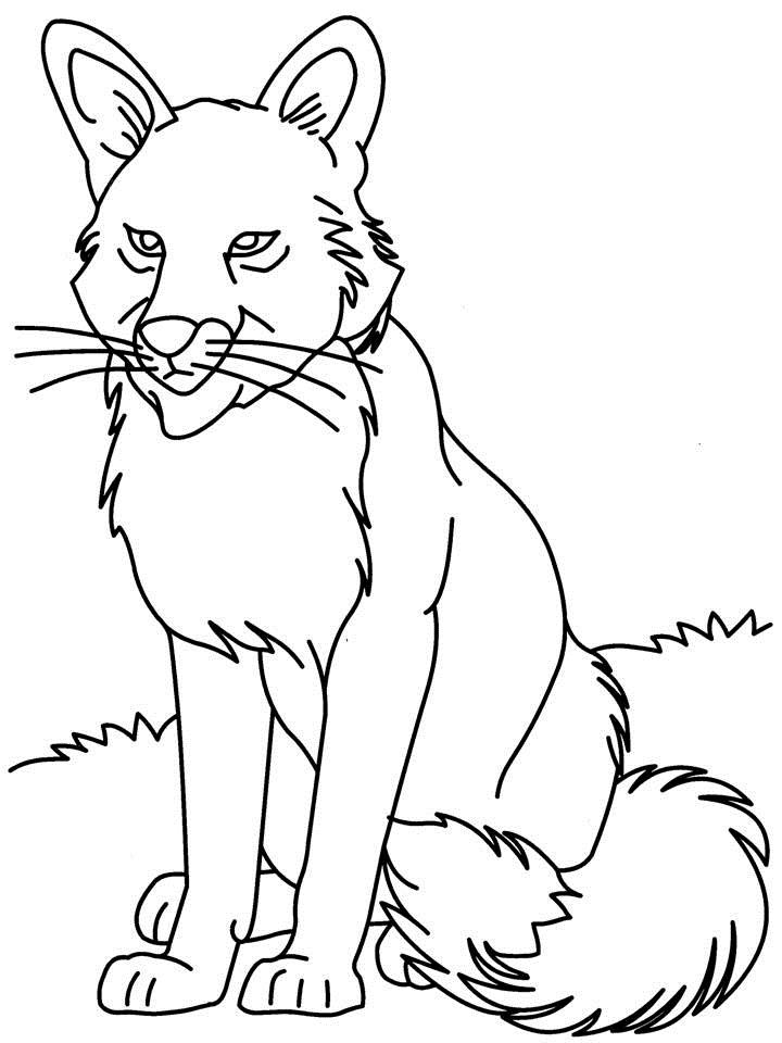 Wolf Coloring Pages FREE Printable 50