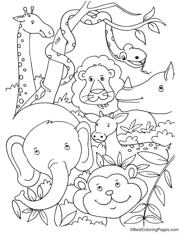 100+ Cartoon Animals Coloring Pages You Can't Miss 151