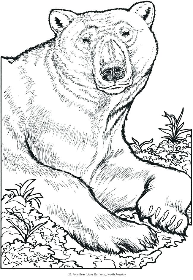 100+ Cartoon Animals Coloring Pages You Can't Miss 20