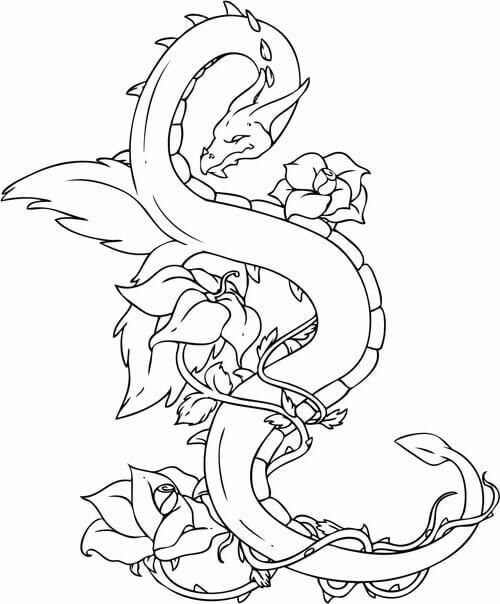 100+ Epic Dragon Coloring Pages to Fire Up Your Creativity 69