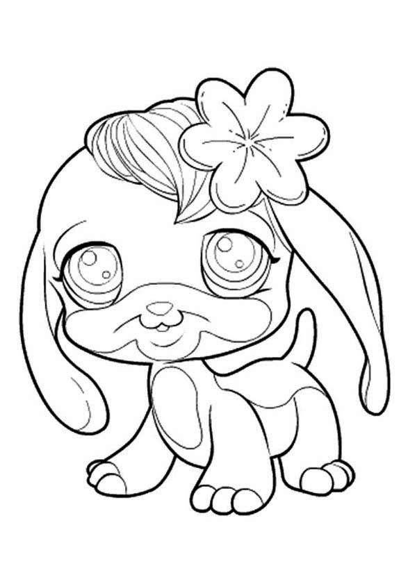 55 Littlest Pet Shop Coloring Pages Free Printable Preschools 43