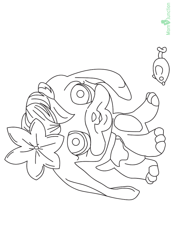 55 Littlest Pet Shop Coloring Pages Free Printable Preschools 75