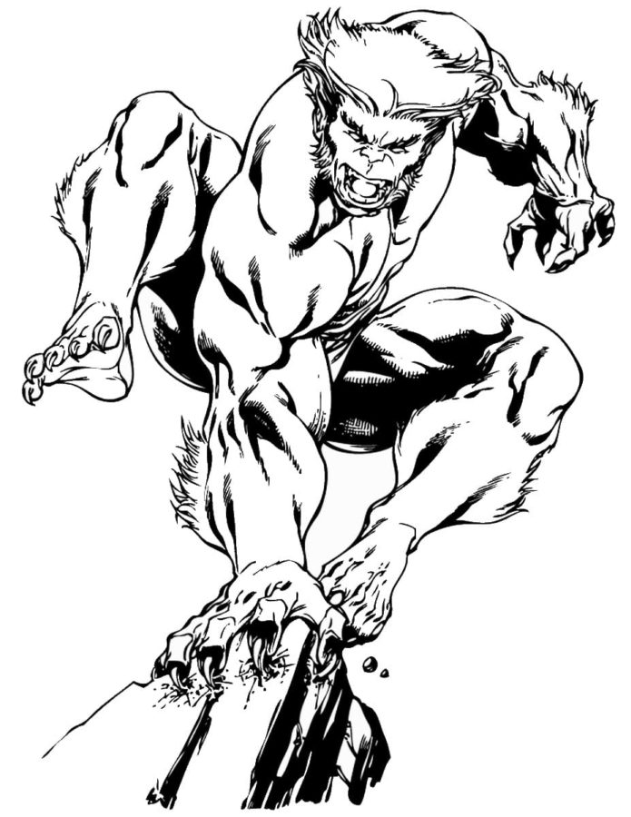 55 Wolverine Coloring Pages Free Printable 14