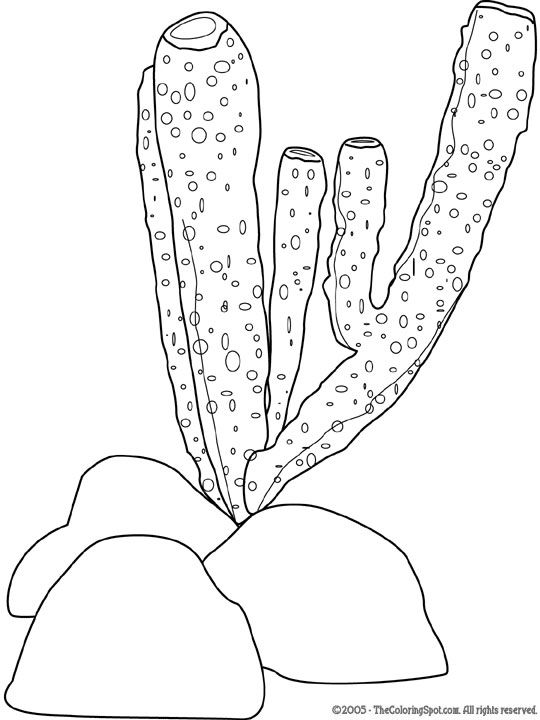 Sponge Bob Coloring Pages Free Printable 26