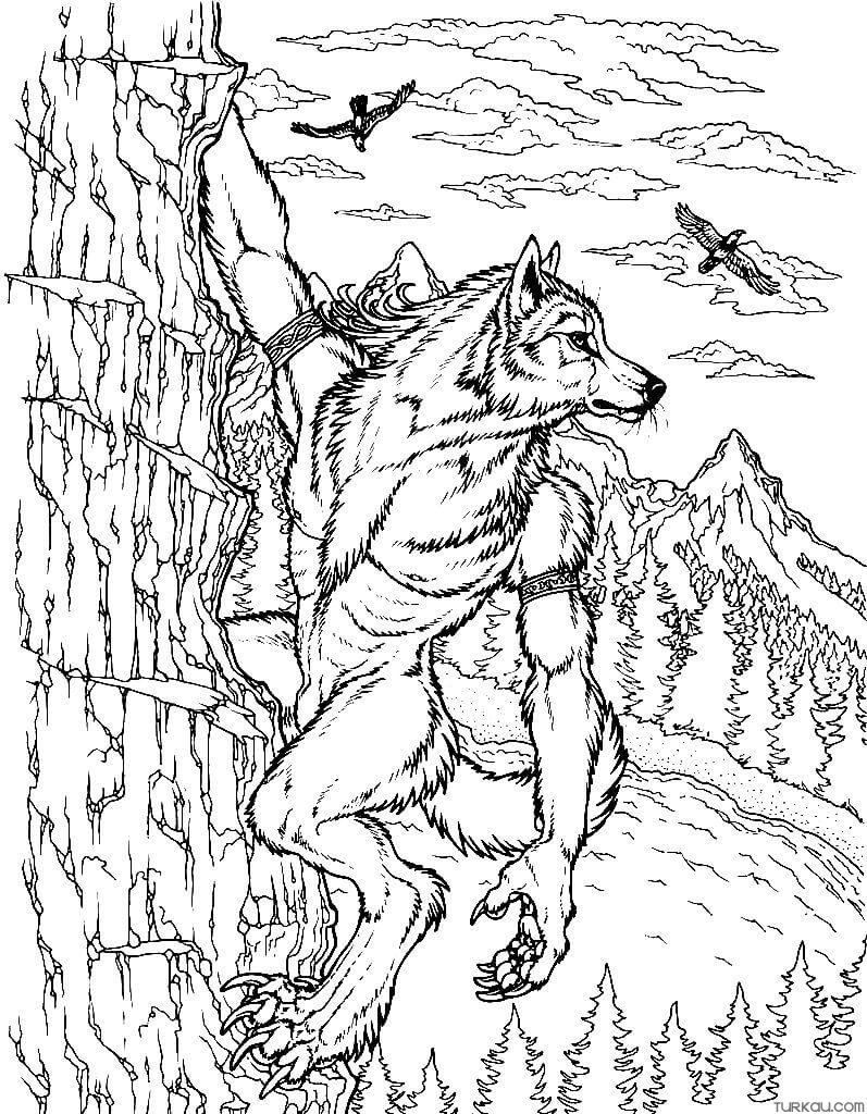 Were Wolf Coloring Page Free Printable 36