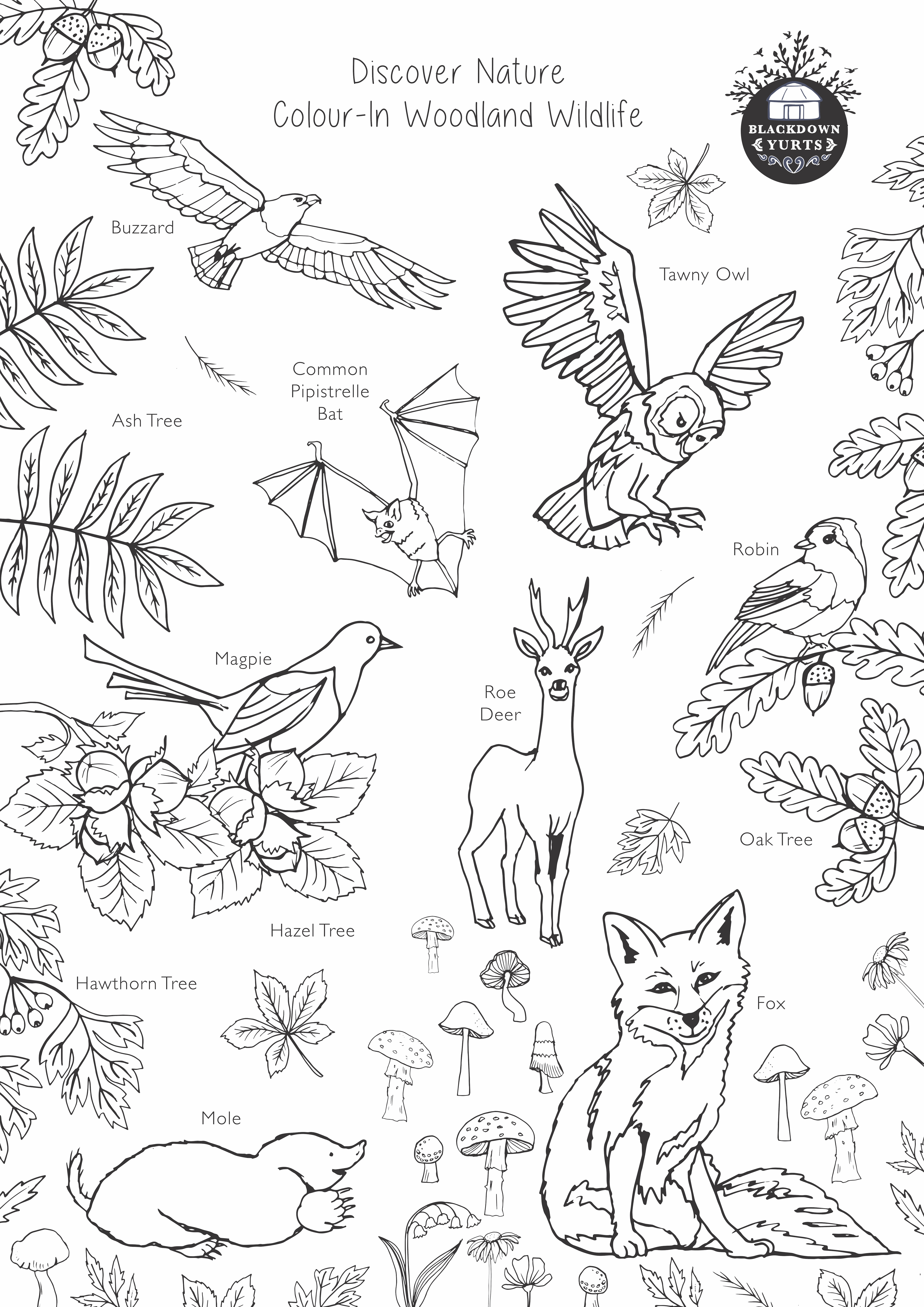 150+ Nature Coloring Pages 1