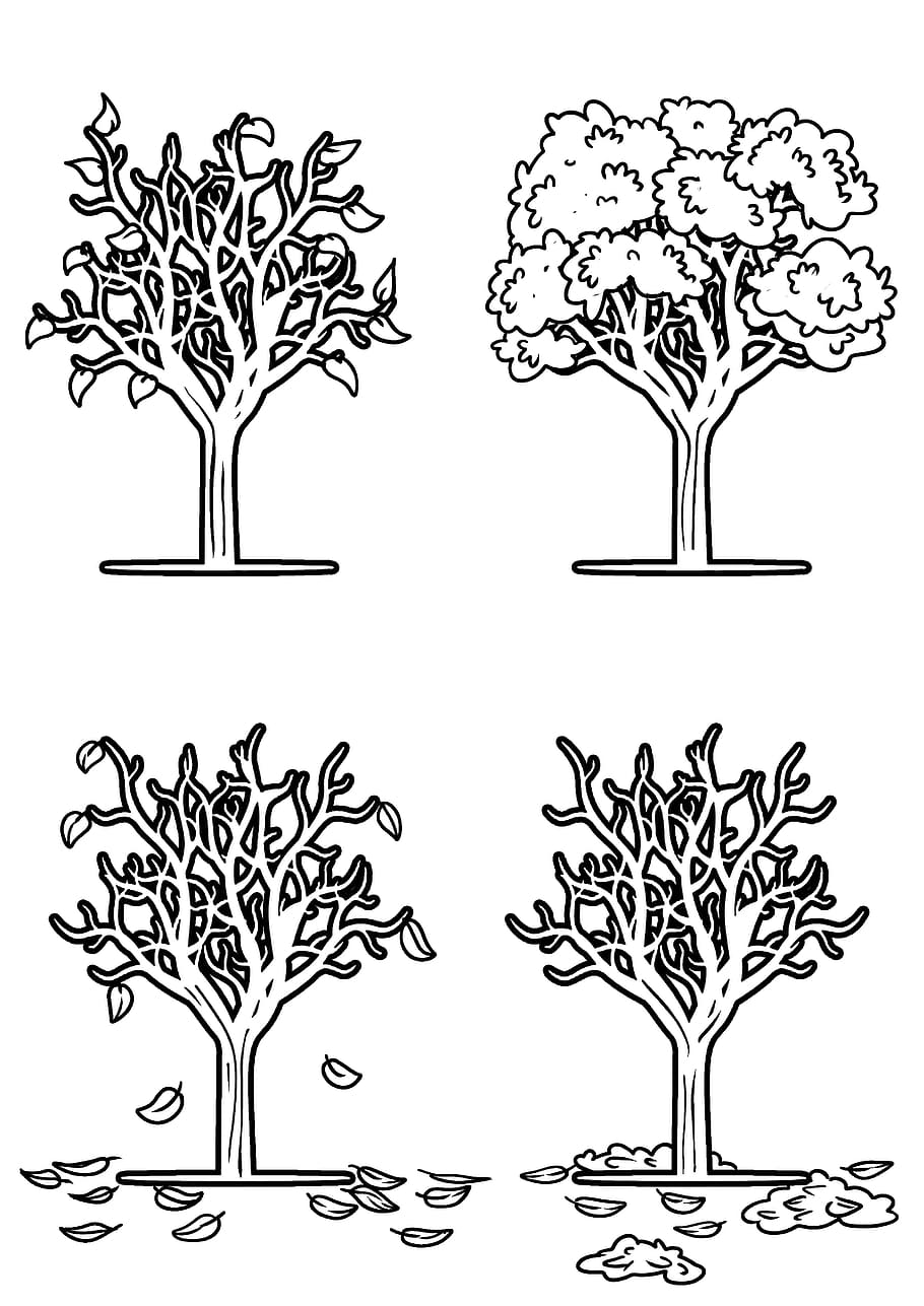 150+ Nature Coloring Pages 105