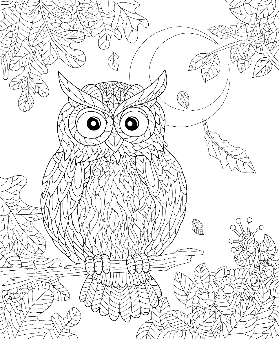 150+ Nature Coloring Pages 107