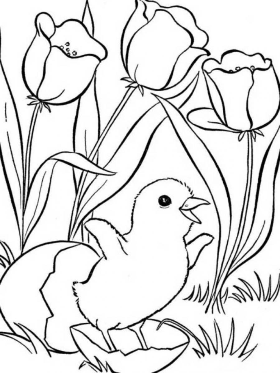 150+ Nature Coloring Pages 110