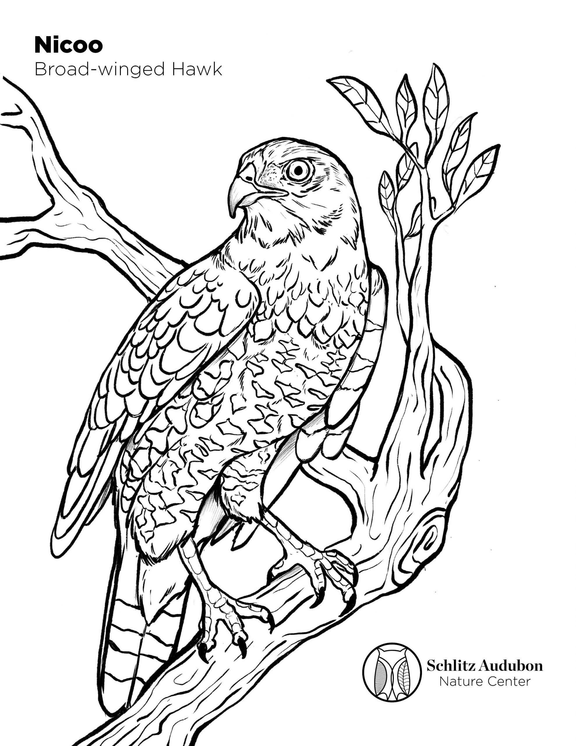 150+ Nature Coloring Pages 12