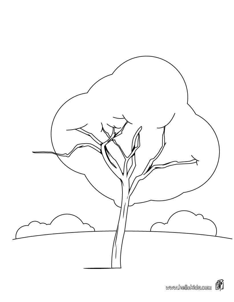 150+ Nature Coloring Pages 127