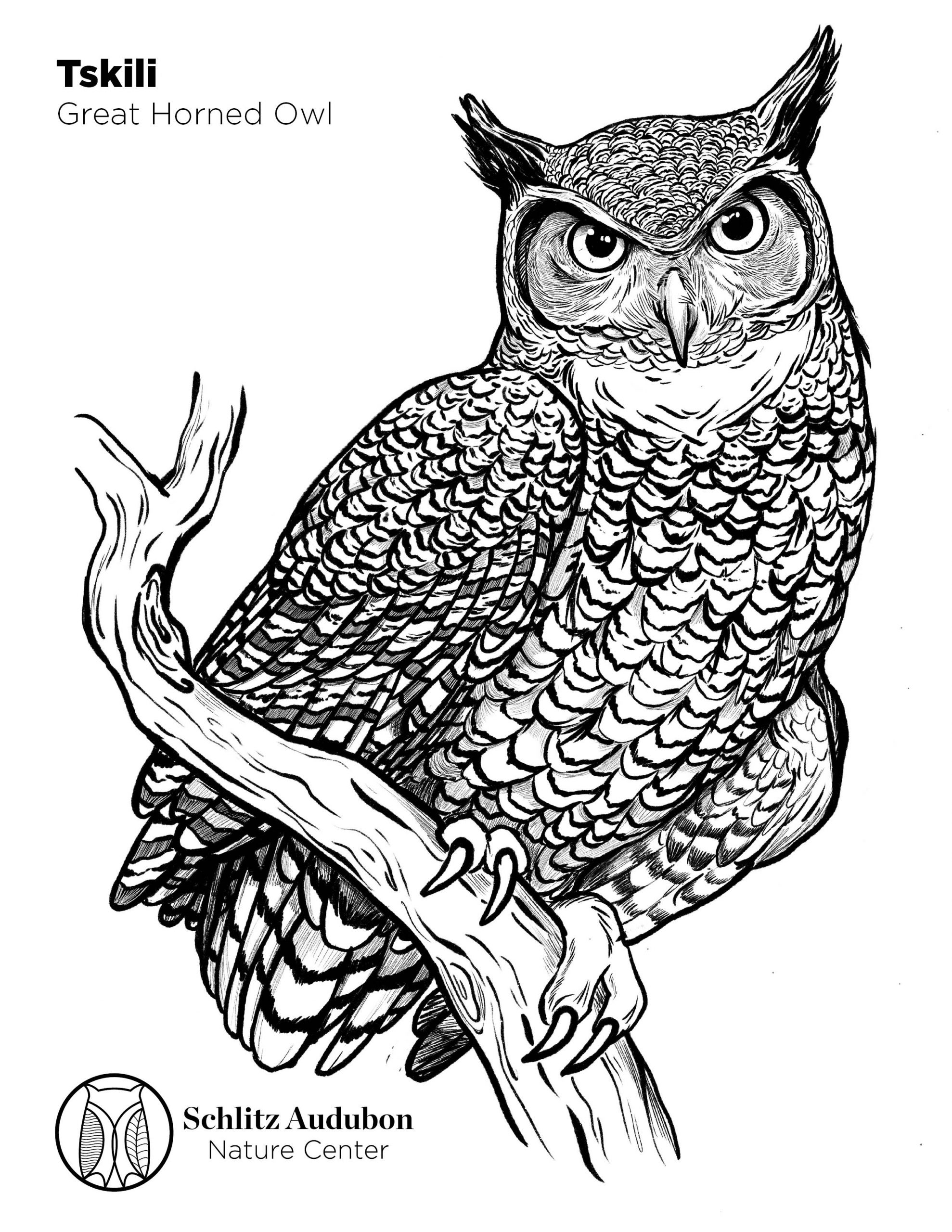 150+ Nature Coloring Pages 13