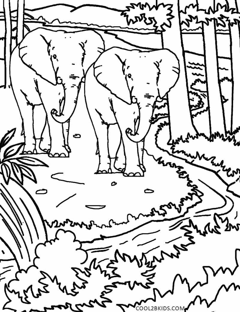 150+ Nature Coloring Pages 132