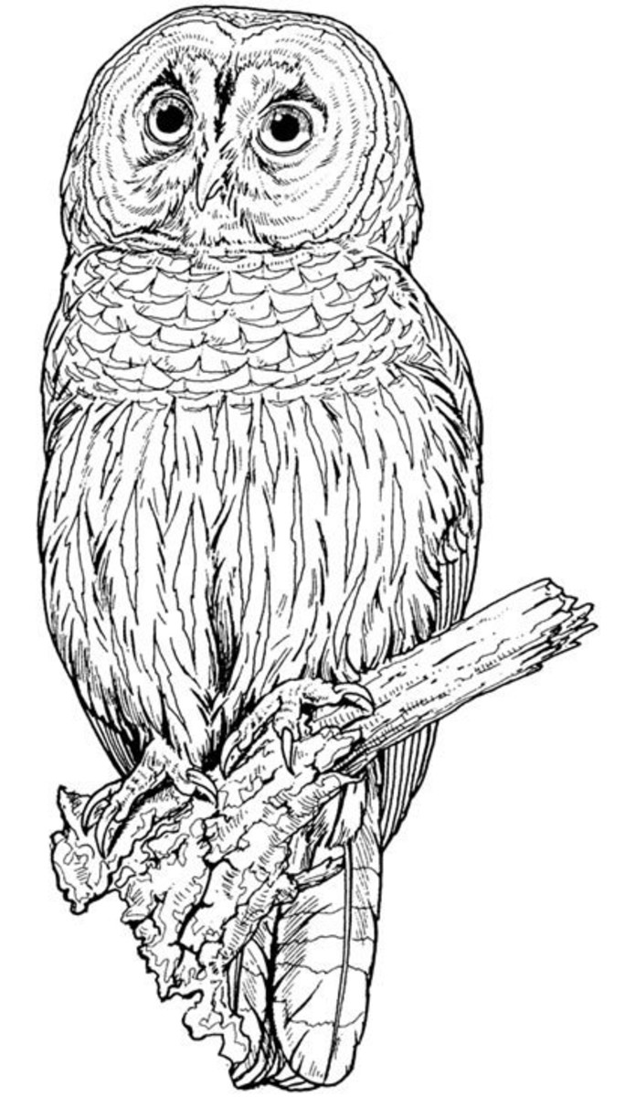 150+ Nature Coloring Pages 135