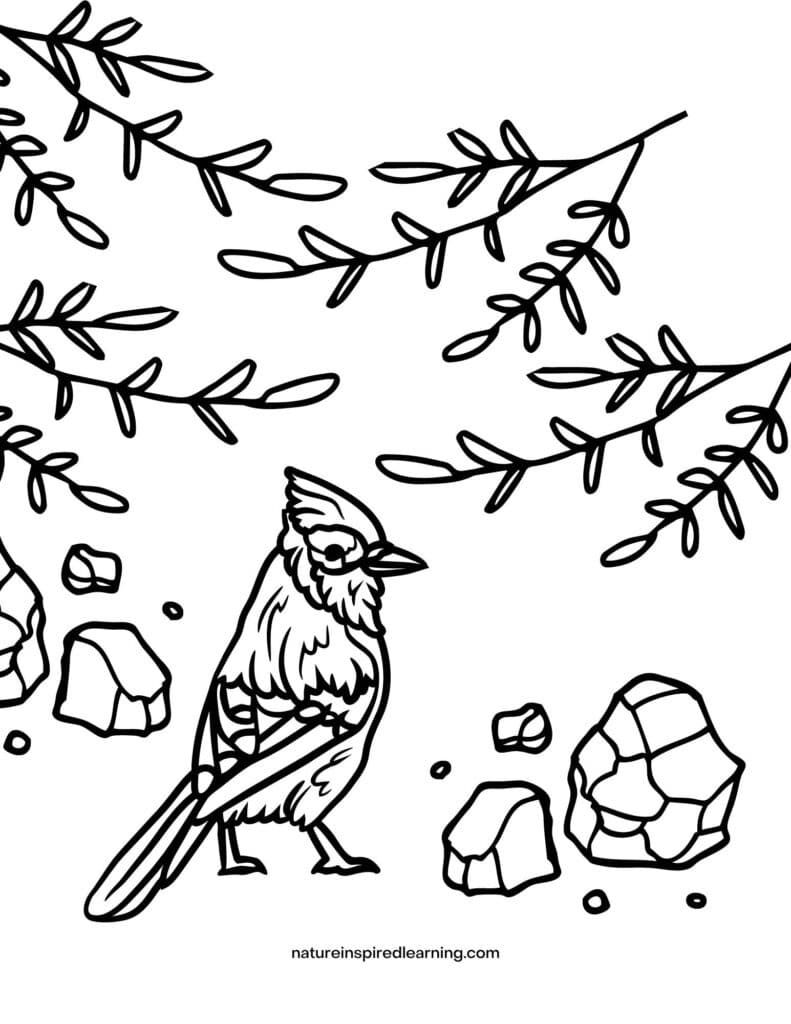 150+ Nature Coloring Pages 148