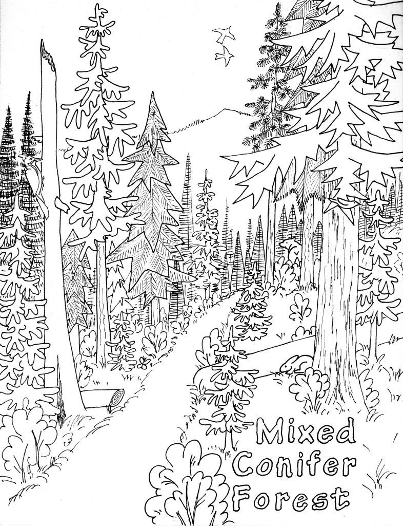 150+ Nature Coloring Pages 152