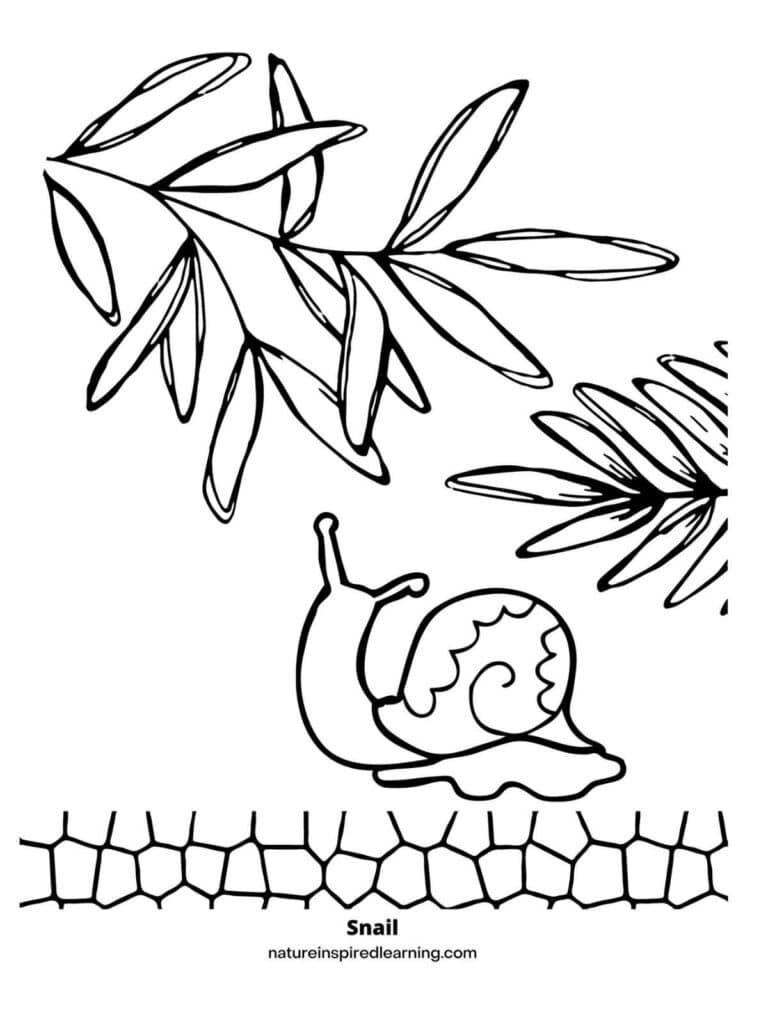 150+ Nature Coloring Pages 155