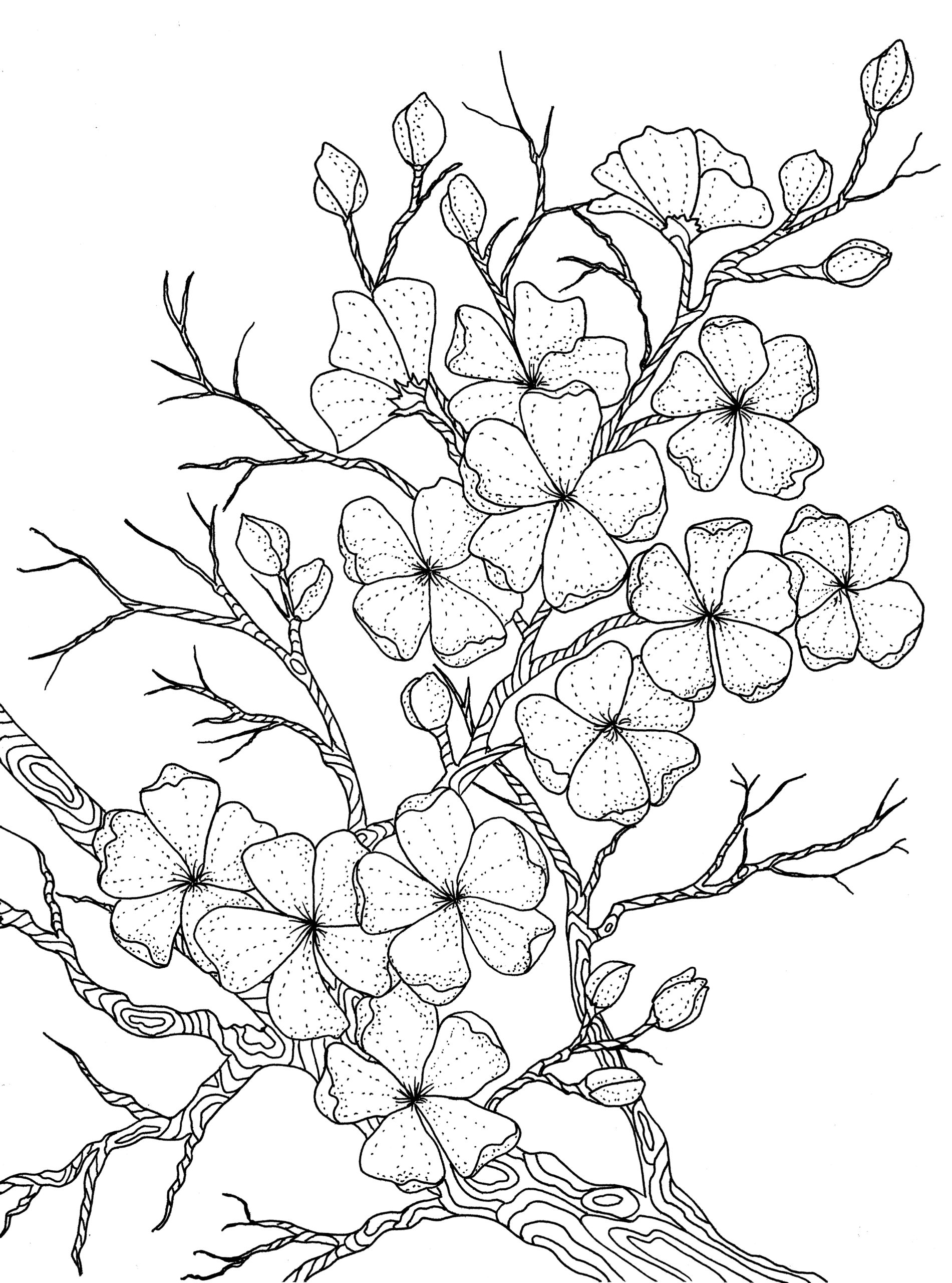 150+ Nature Coloring Pages 17