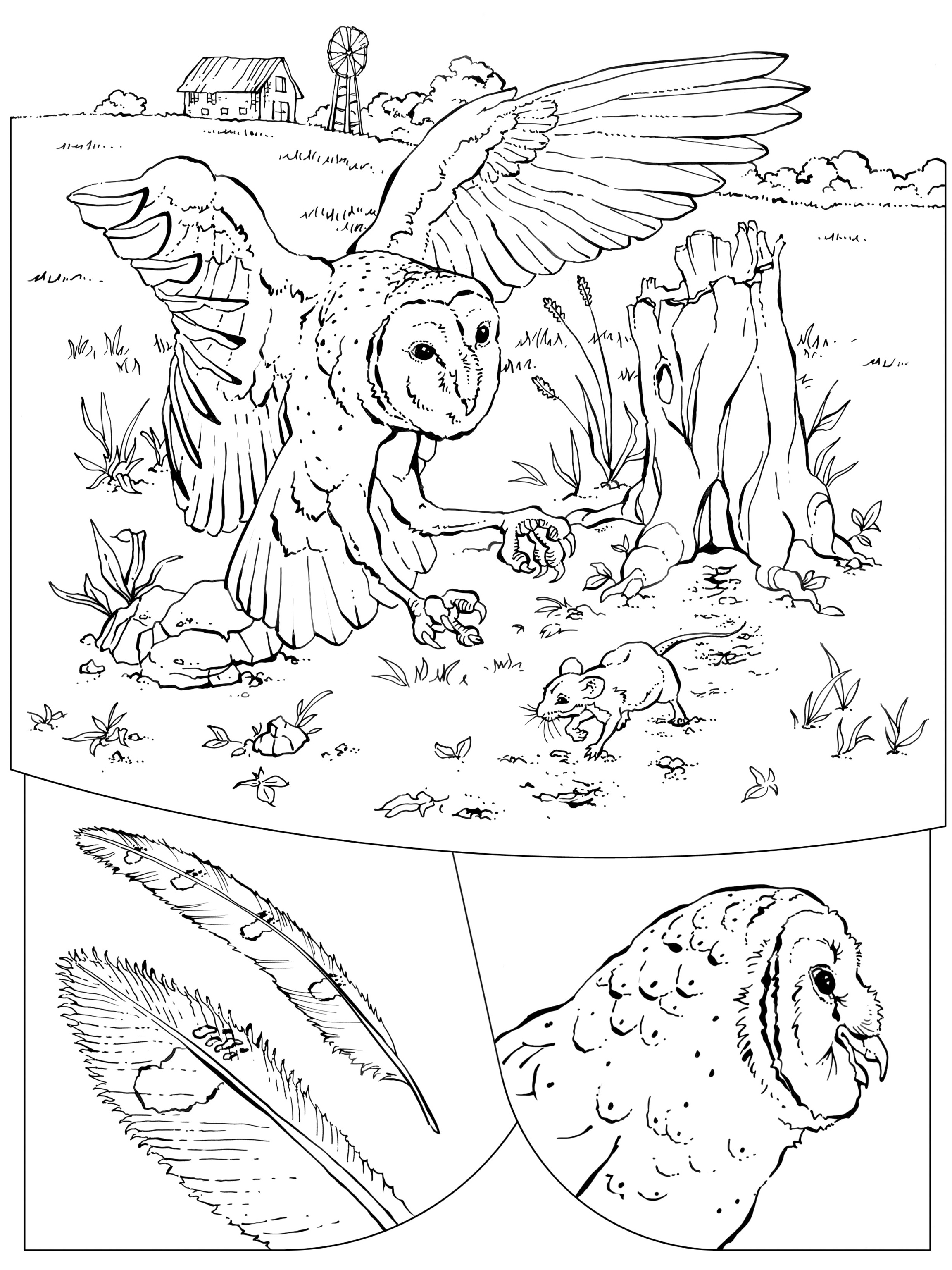 150+ Nature Coloring Pages 4