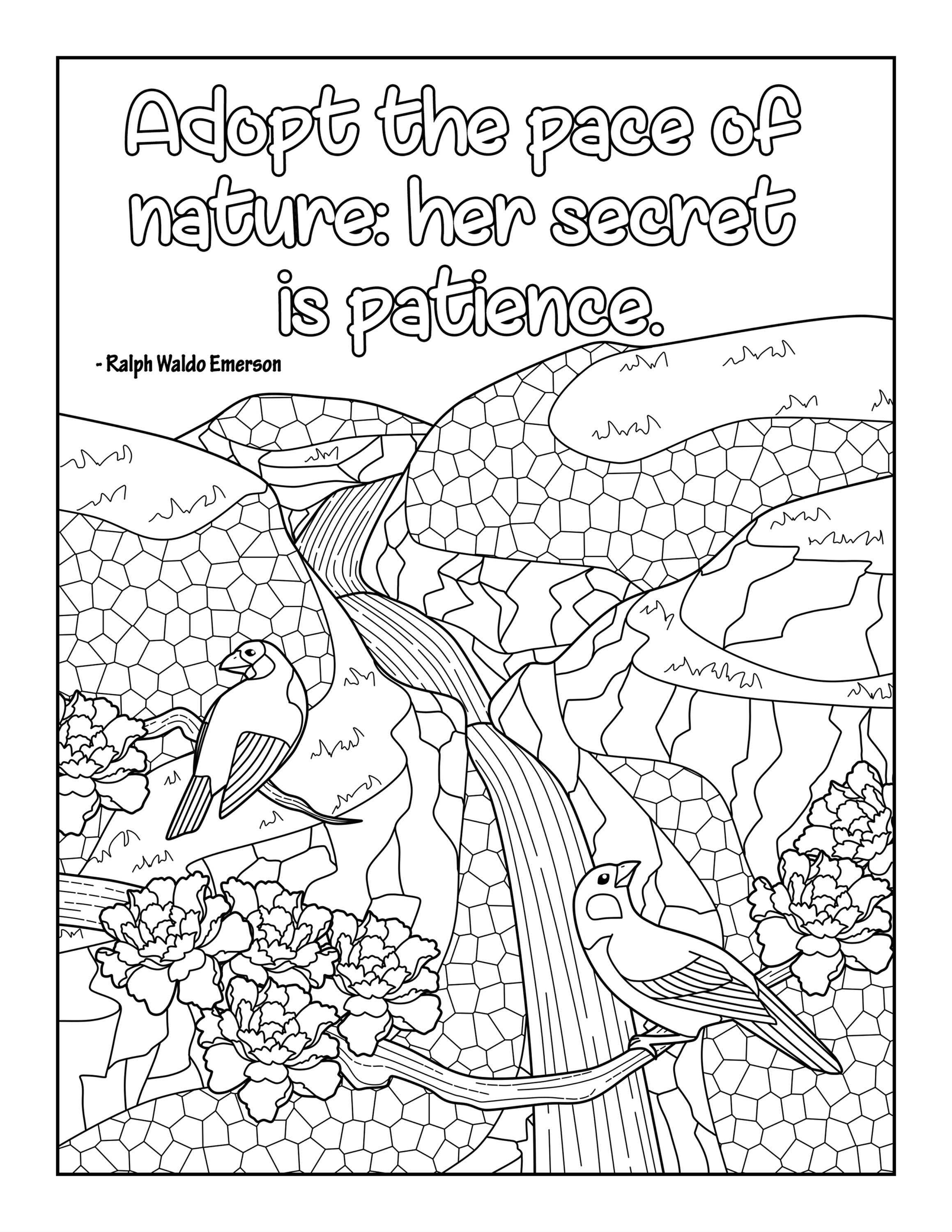 150+ Nature Coloring Pages 5