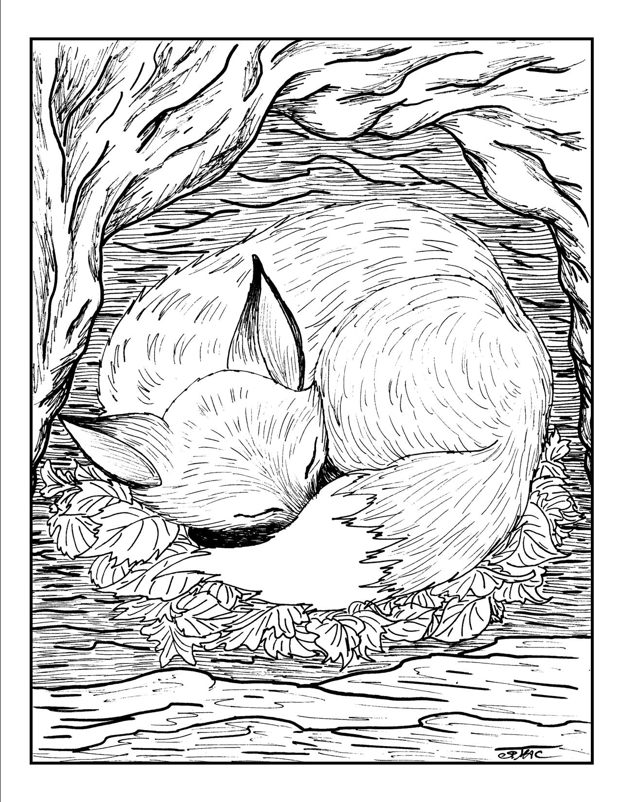 150+ Nature Coloring Pages 53