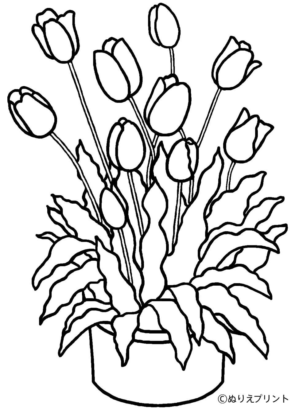 150+ Nature Coloring Pages 92