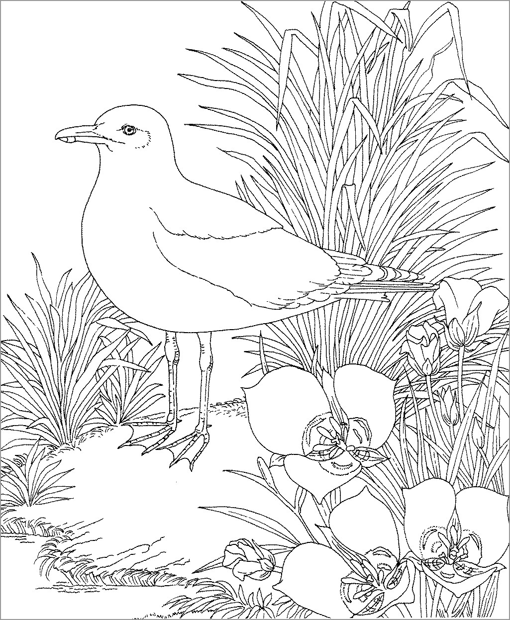 150+ Nature Coloring Pages 93