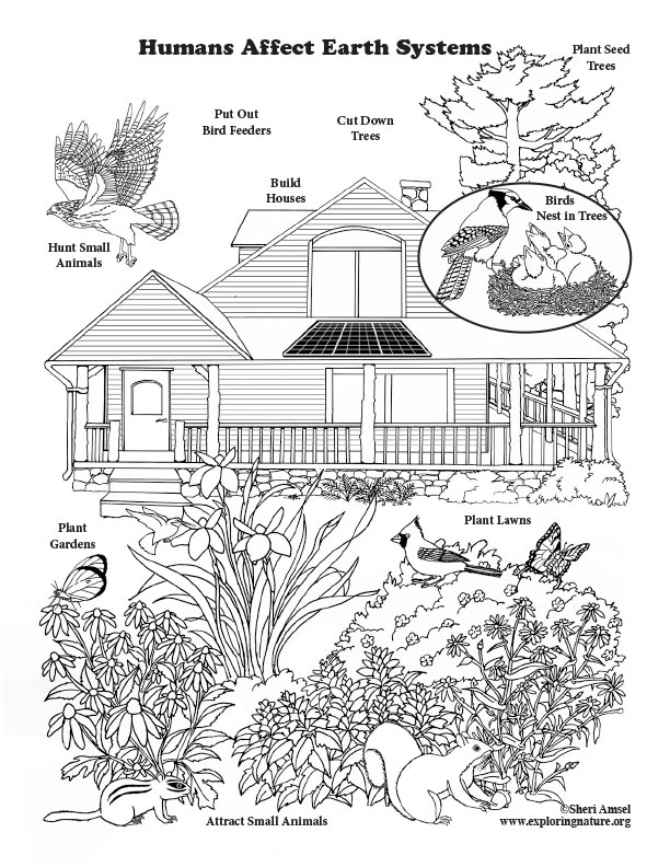 199+ Earth Coloring Pages: Explore Nature's Beauty 158