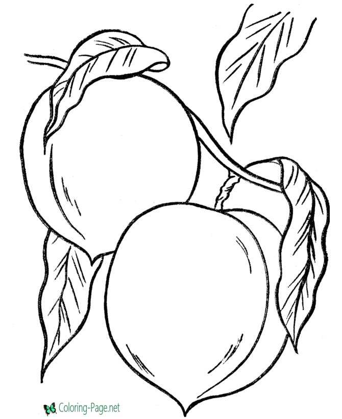 199+ Food Coloring Pages for Adult 103