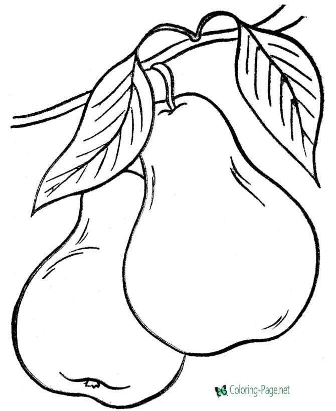 199+ Food Coloring Pages for Adult 110