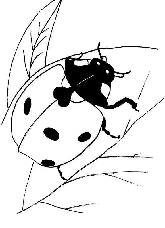 200+ Ladybug Coloring Page Ideas: Cute and Colorful Creations 149