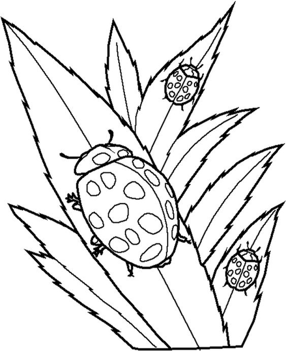 200+ Ladybug Coloring Page Ideas: Cute and Colorful Creations 162